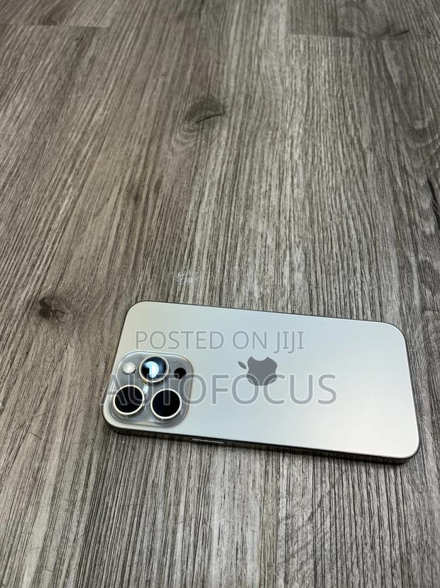 Apple iPhone 15 Pro Max 256 GB Silver · Photo 6