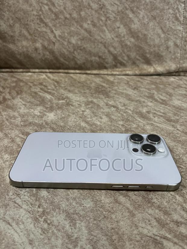 Apple iPhone 15 Pro Max 256 GB Silver · Photo 8