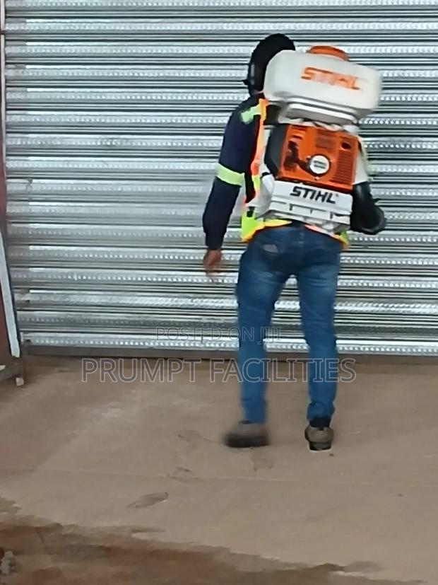 Fumigation Against Bedbugs · Photo 3