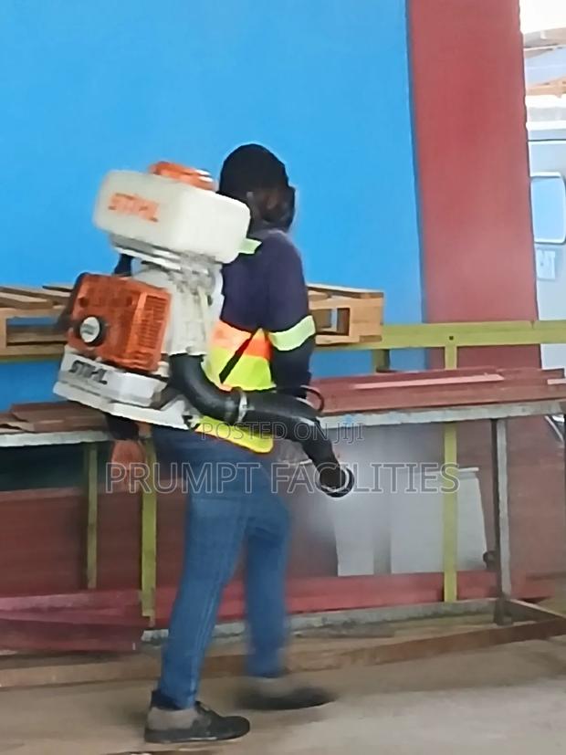 Fumigation Against Bedbugs · Photo 4