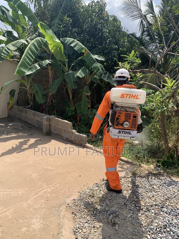 Bedbugs Fumigation · Photo 1