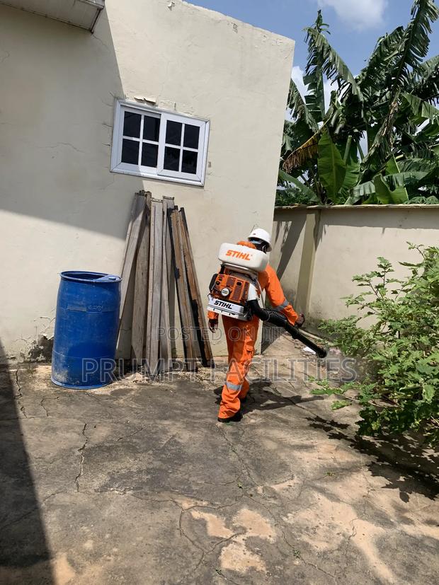 Bedbugs Fumigation · Photo 3