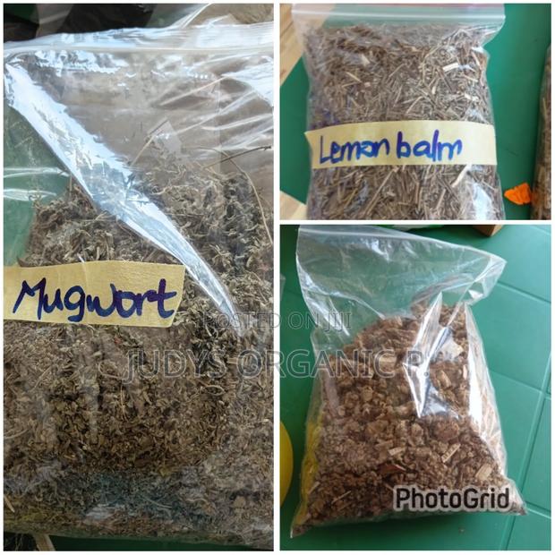 Lemon Balm, Mugwort, Mullien · Photo 1