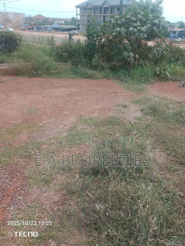 Land for Sale · Photo 3