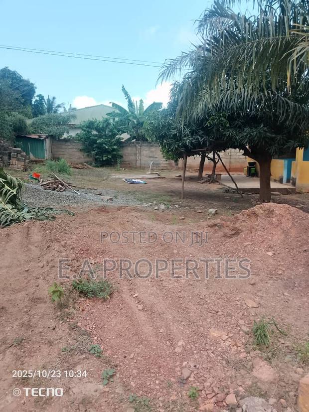 Land for Sale · Photo 7