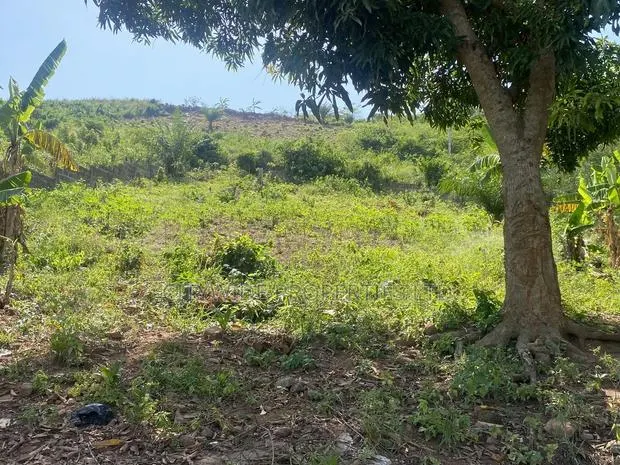 Prime Land for Development · Photo 1