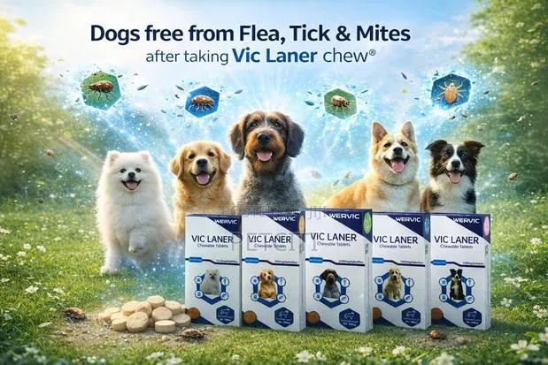 Dog Tick and Flea Chewable Tablets · Photo 1