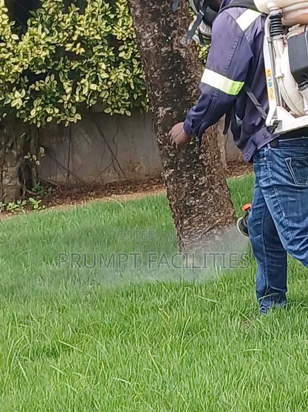 Fumigation and More · Photo 6