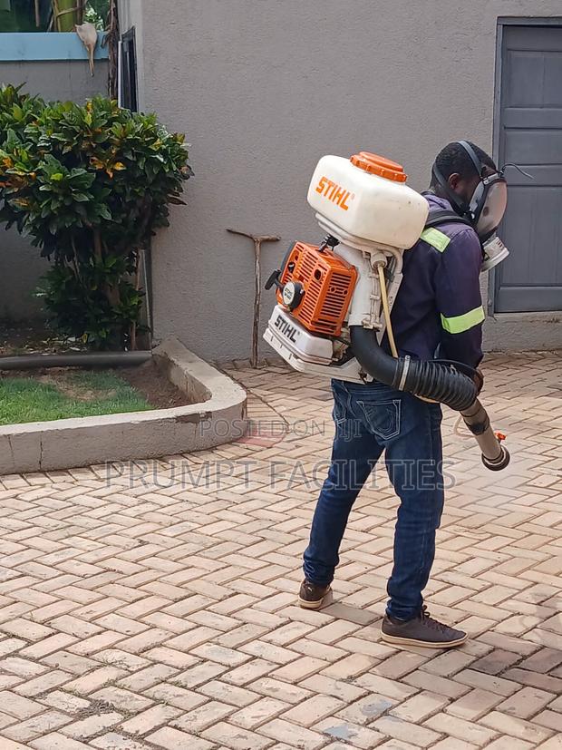 Bedbugs Fumigation · Photo 1