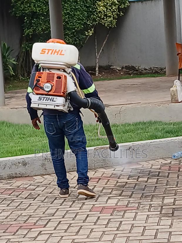 Bedbugs Fumigation · Photo 2