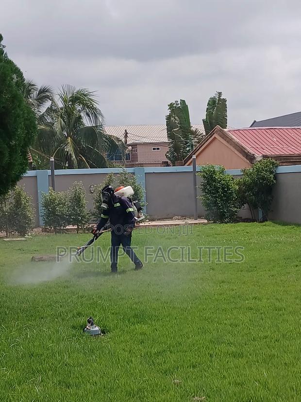 Bedbugs Fumigation · Photo 3