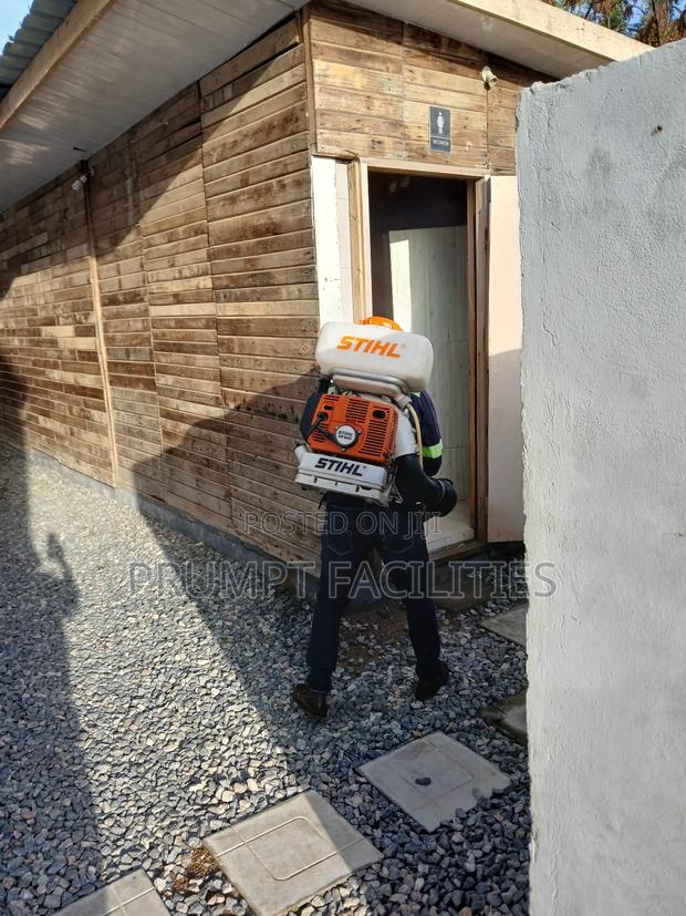 Bedbugs Fumigation · Photo 4