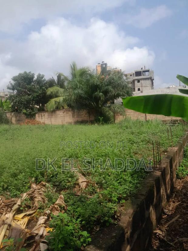 70/100 Ft Plot of Land for Sale at Pokuase Fise · Photo 6