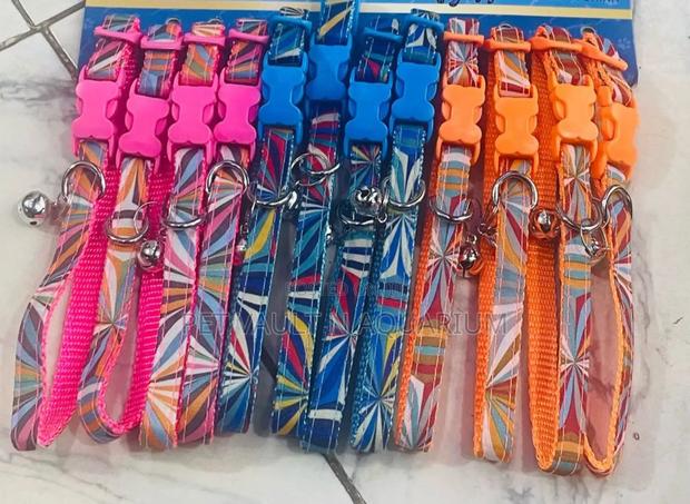 Puppy Collar · Photo 1