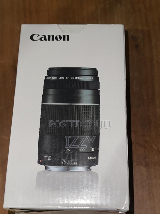 Canon 75-300mm Lens · Photo 1