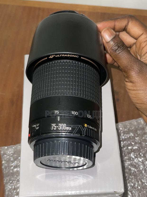Canon 75-300mm Lens · Photo 3