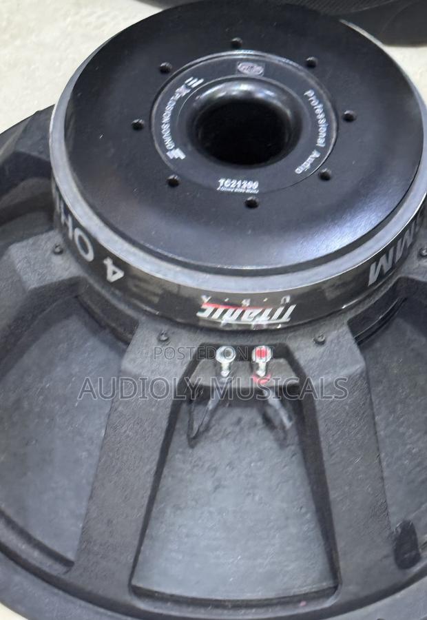 Titanic 21inches Bass Speaker · Photo 2