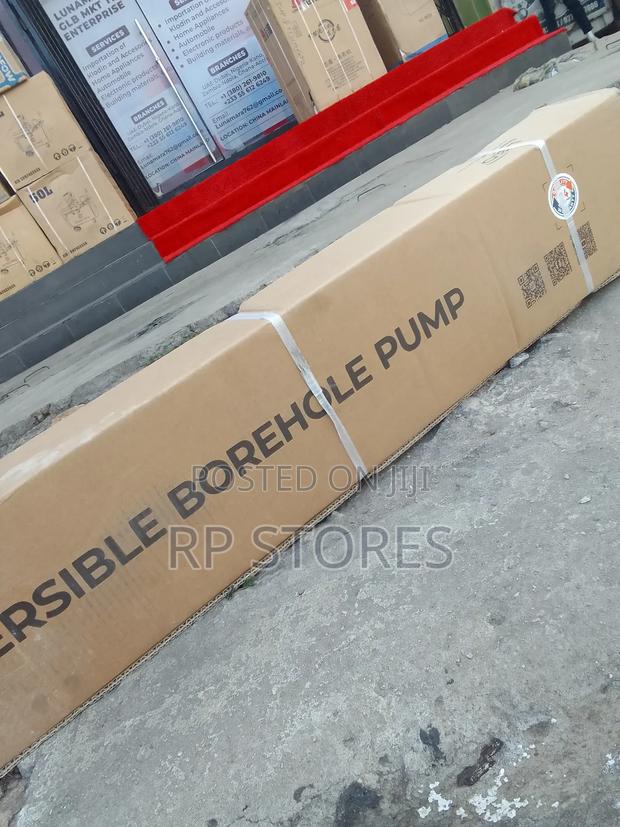 Leo Submersible Bore Hole Pump · Photo 2