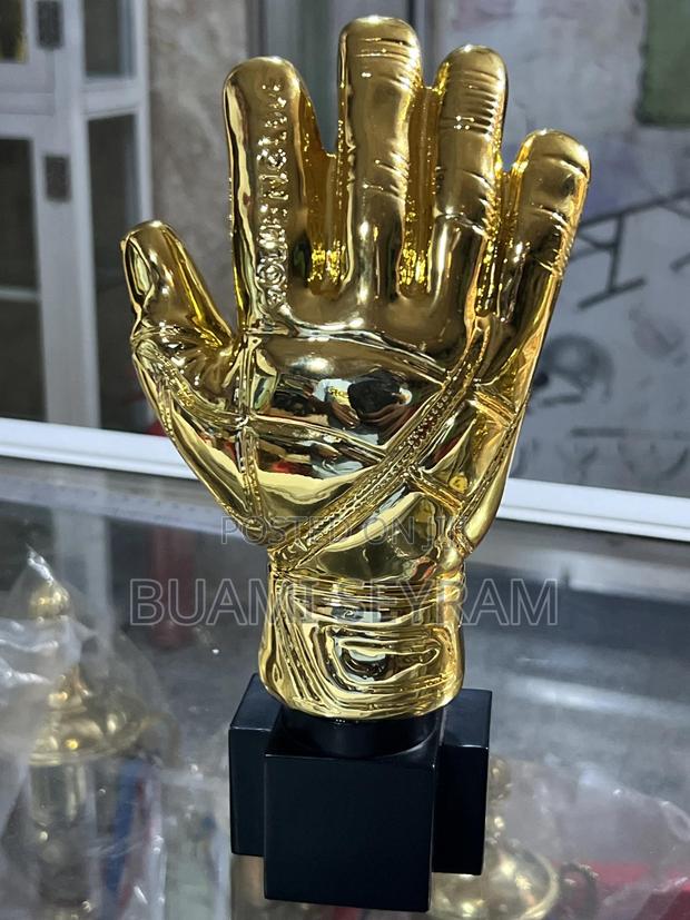 Goalkeeper Gloves Awards · Photo 2