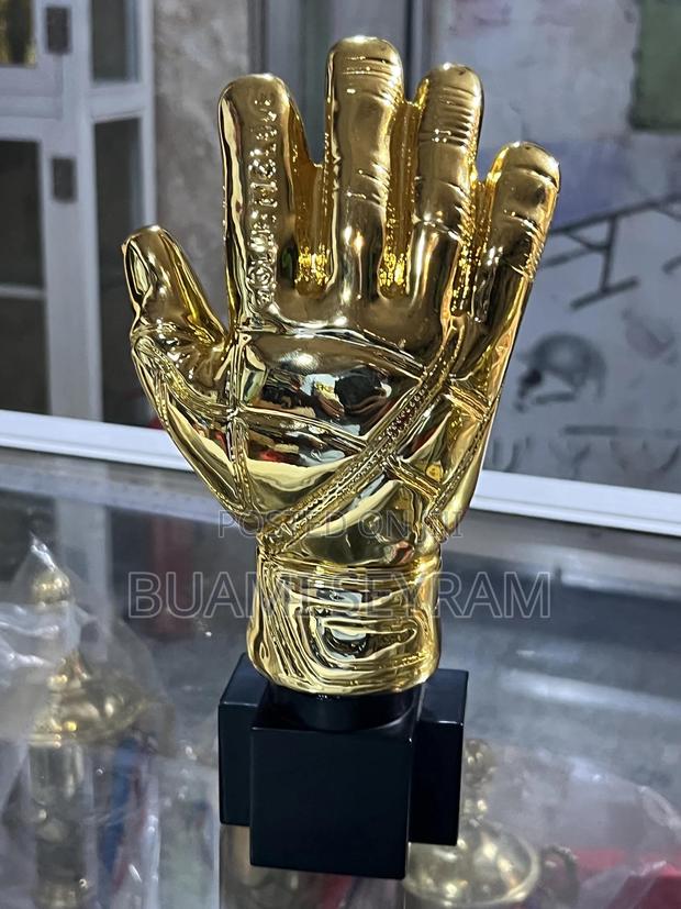 Goalkeeper Gloves Awards · Photo 3
