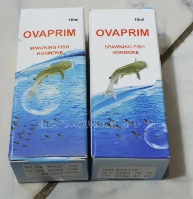 Over Prim for Aquarium Fishes · Photo 2
