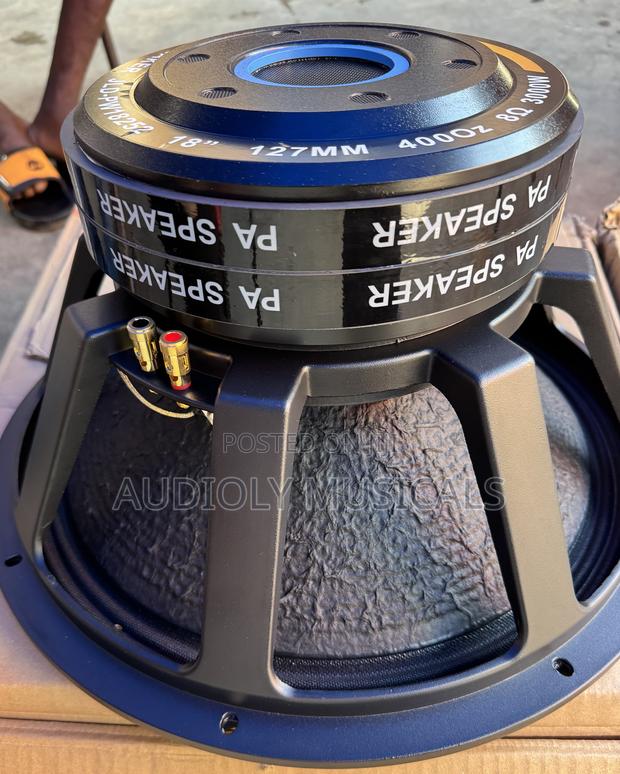 3000watt JLD Double Magnet Naked Speaker · Photo 1