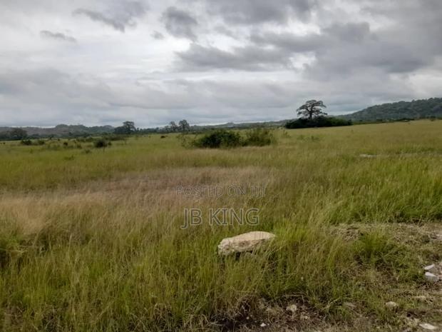 Plots of Land · Photo 2