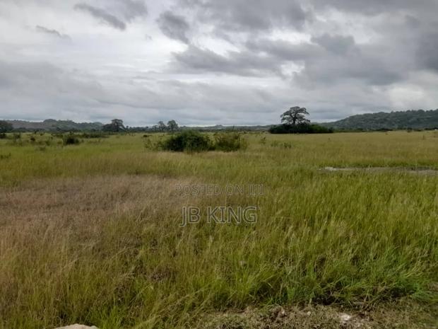 Plots of Land · Photo 4