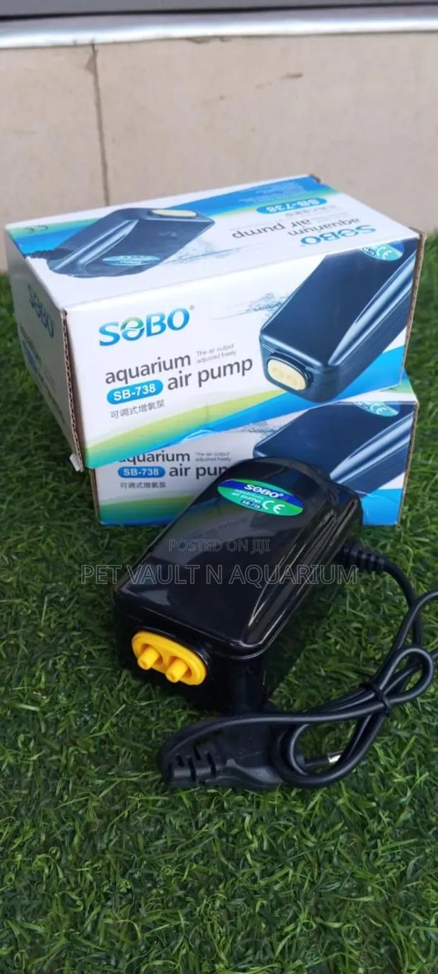 Double Outlet Sobo Pump · Photo 1
