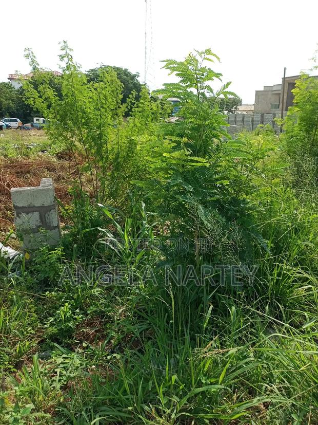 TDC Documented Two Plots at Sakumono Estates · Photo 2