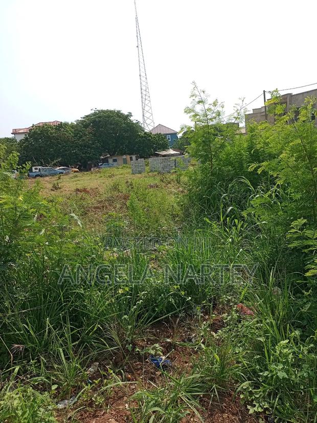 TDC Documented Two Plots at Sakumono Estates · Photo 3