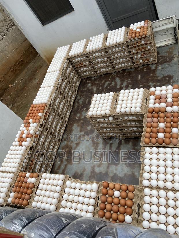 Fresh Organic Eggs · Photo 6