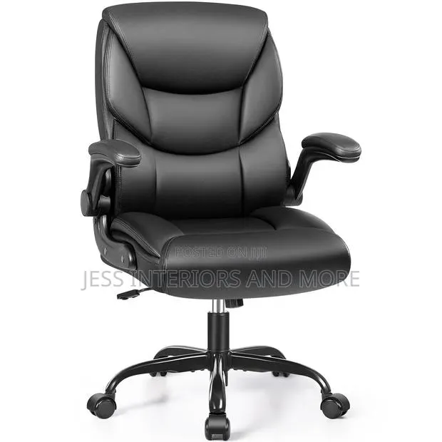 Executive Ergonomic Office Chair · Photo 1