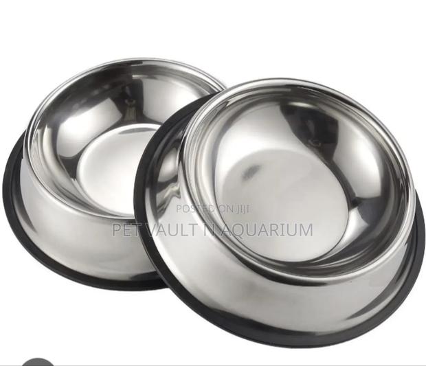 Quality Feeding Bowl for Dogs · Photo 1