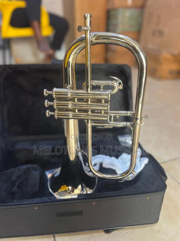 Rotary Valve Flugelhorn · Photo 1