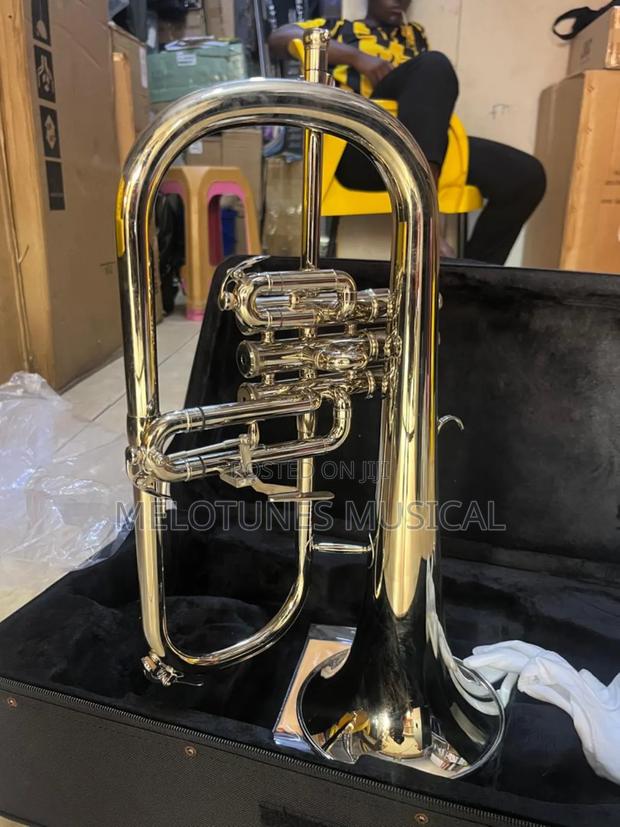 Rotary Valve Flugelhorn · Photo 3