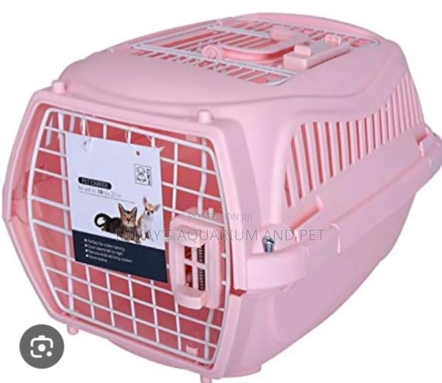 Beautiful Dog and Cat Plastic Crate · Photo 1