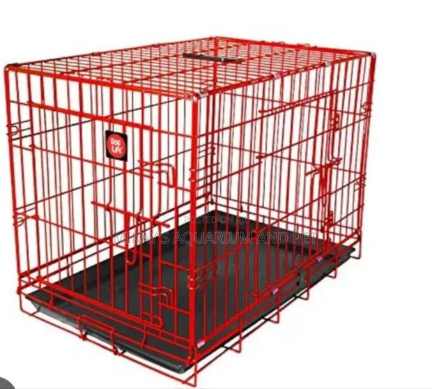 Beautiful Outdoor Dog Kennel (30 Inches) · Photo 3