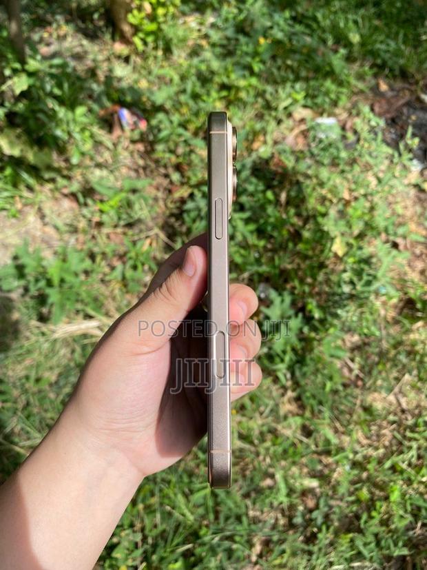 Apple iPhone 16 Pro Max 256 GB Gold · Photo 2