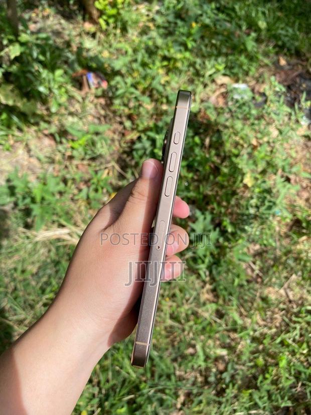 Apple iPhone 16 Pro Max 256 GB Gold · Photo 3