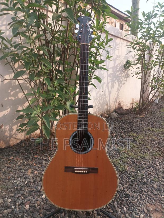 Ovation 08371 Customized Acoustic Guitar · Photo 1