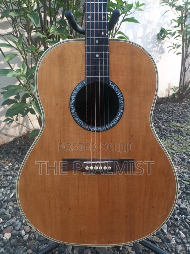 Ovation 08371 Customized Acoustic Guitar · Photo 2