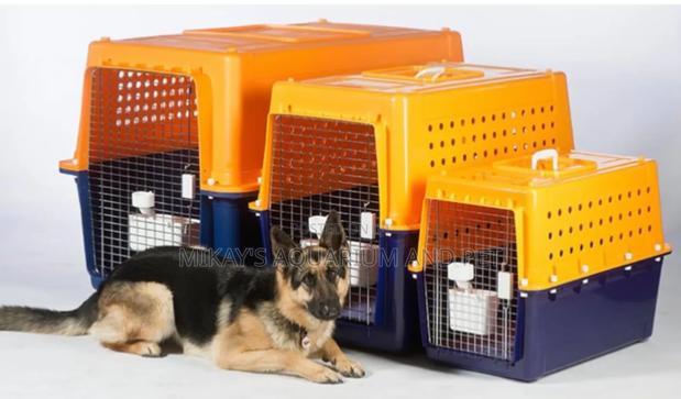 Strong Plastic Dog And Cat Create · Photo 1
