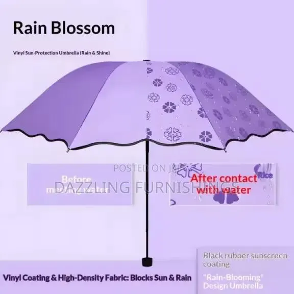 Dazzling Umbrella · Photo 1