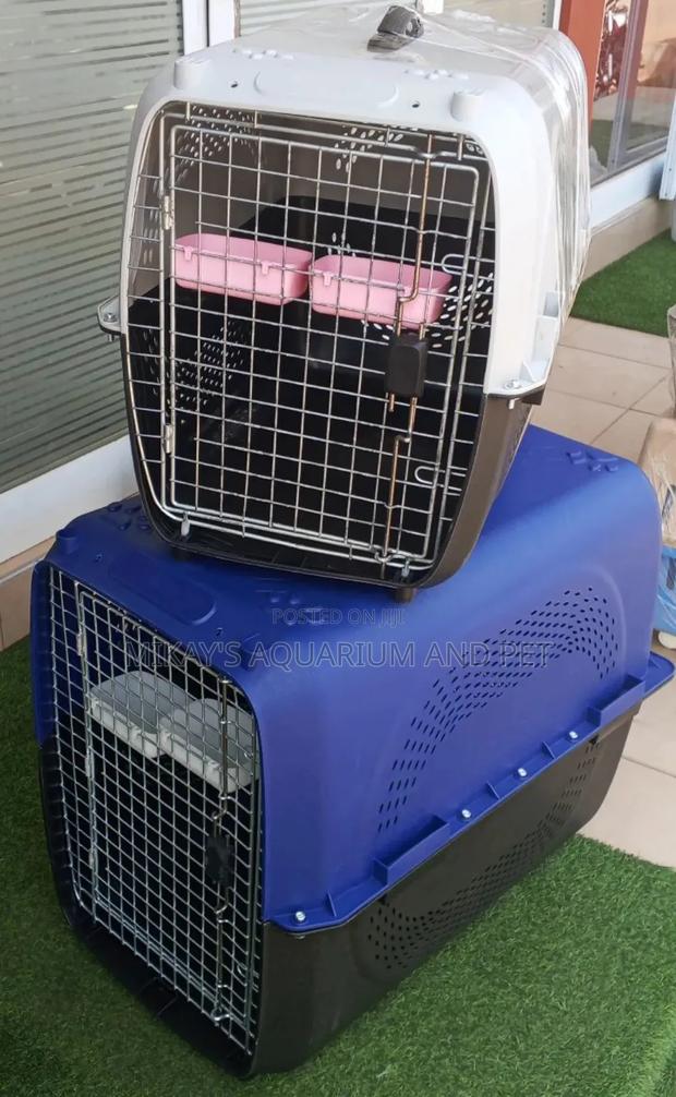 Extra Large Plastic Dog Cage · Photo 1