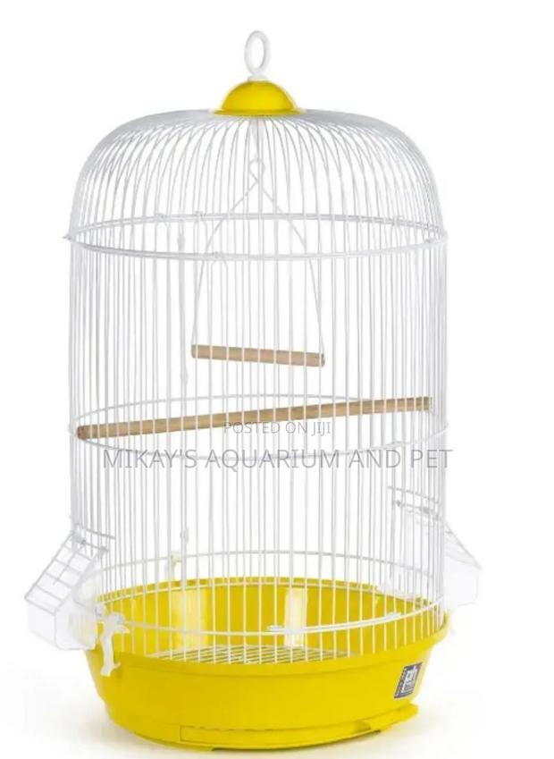 Conical Bird Cage · Photo 4