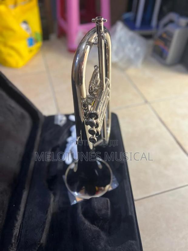 Flugelhorn Male · Photo 1