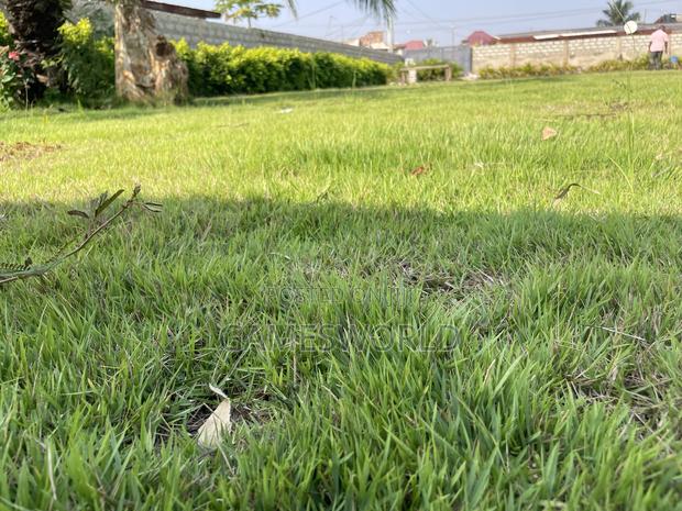 Event Center Garden | Green Grass | Weddings Parties | for Rent · Photo 2