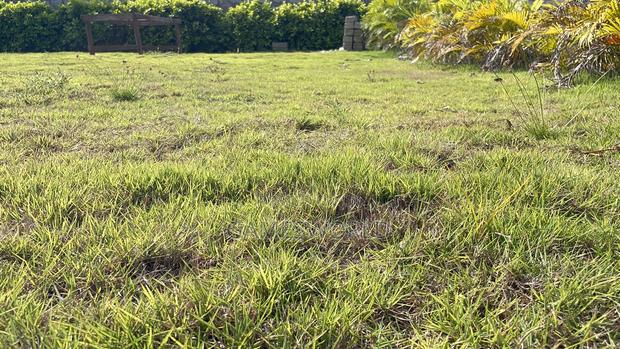 Event Center Garden | Green Grass | Weddings Parties | for Rent · Photo 4