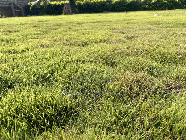 Event Center Garden | Green Grass | Weddings Parties | for Rent · Photo 3